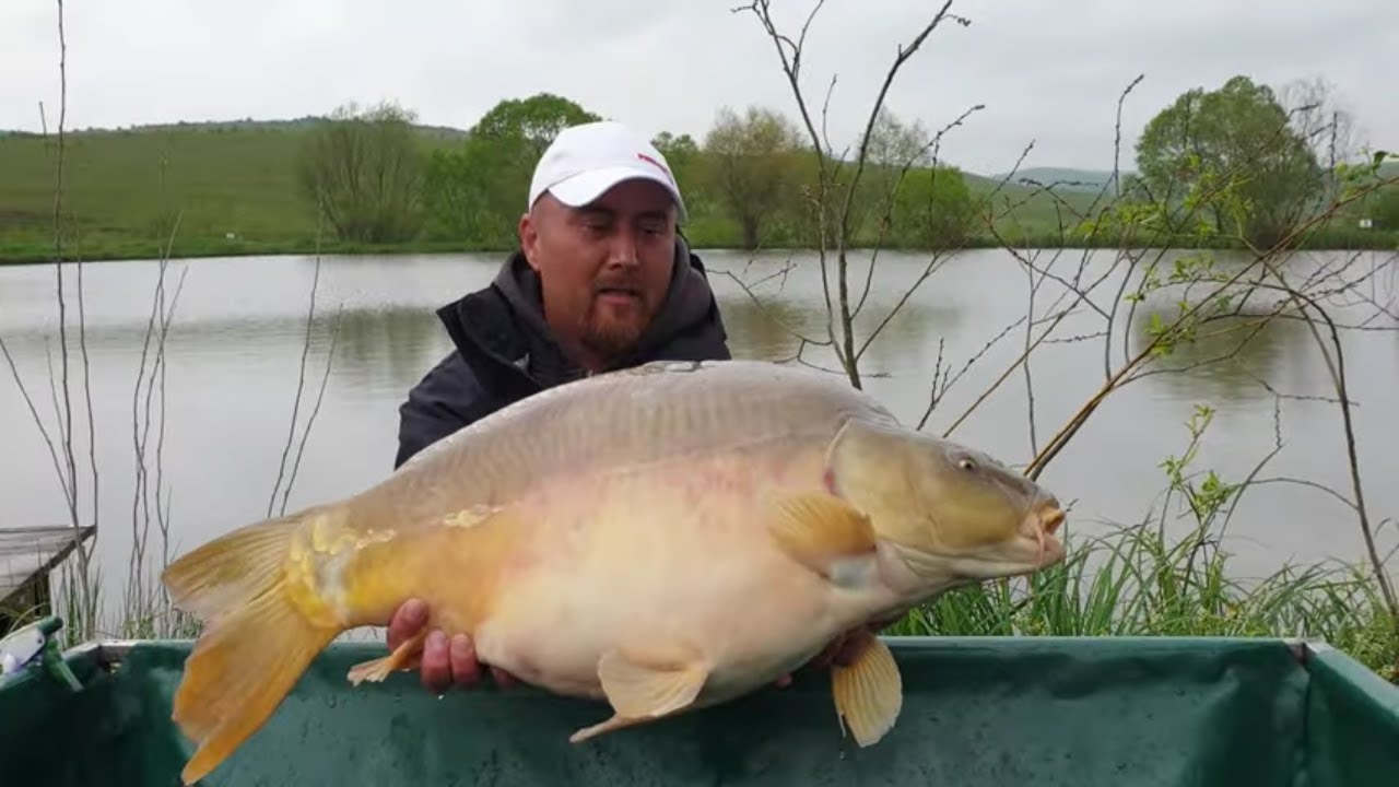 Teste Method Feeder cu noua nada Feederx - ziua 9