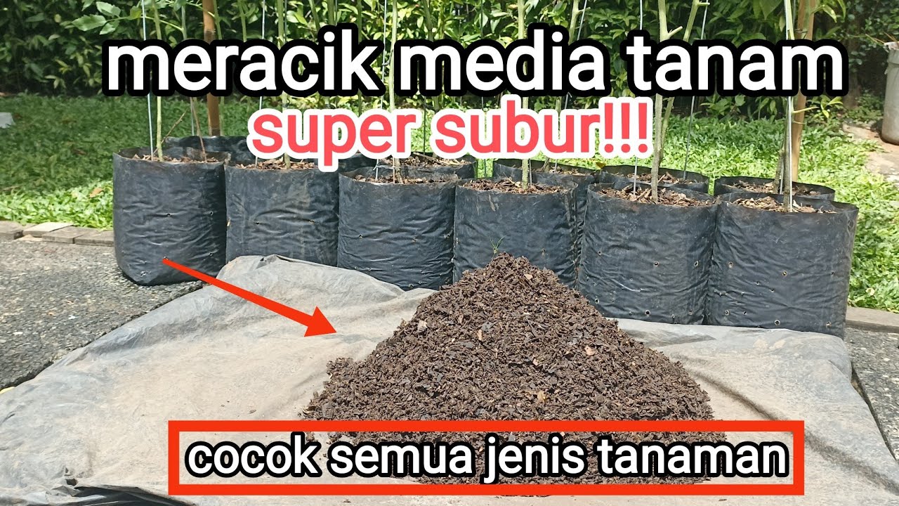 cukup mudah meracik media tanam yang subur!!! media tanam polybag yang baik #mediatanam
