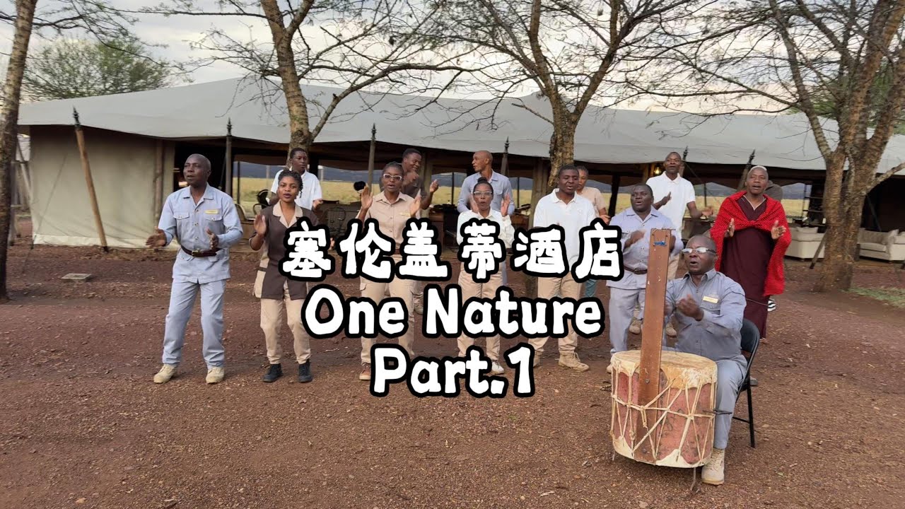 塞伦盖蒂最顶级的Safari营地，客人刚到就被这样欢迎
