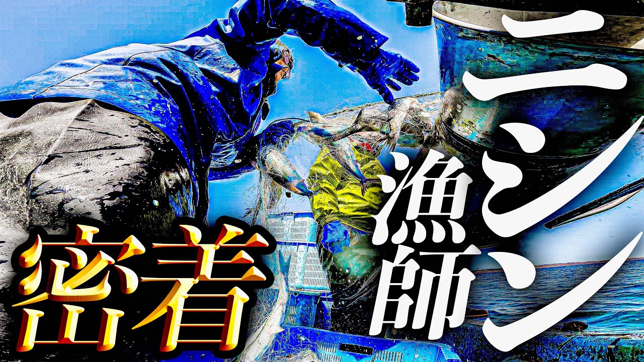【漁師密着】大漁過ぎて逆にしんどい。実力派ニシン漁師に密着！！【北海道・網走】