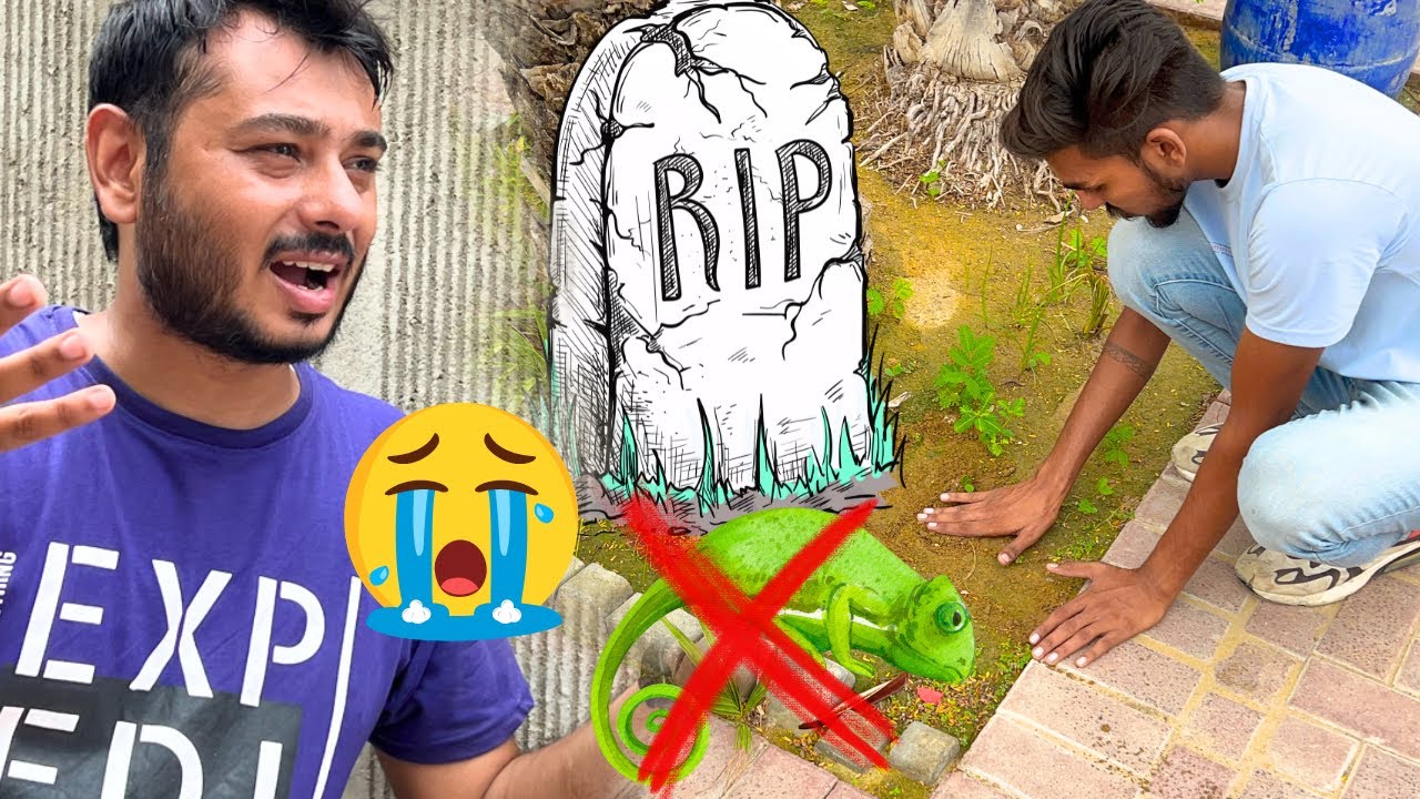 Chemeleon Lizard Nahi Rahi 😭 zoo me Sab sad( zoo vlog)