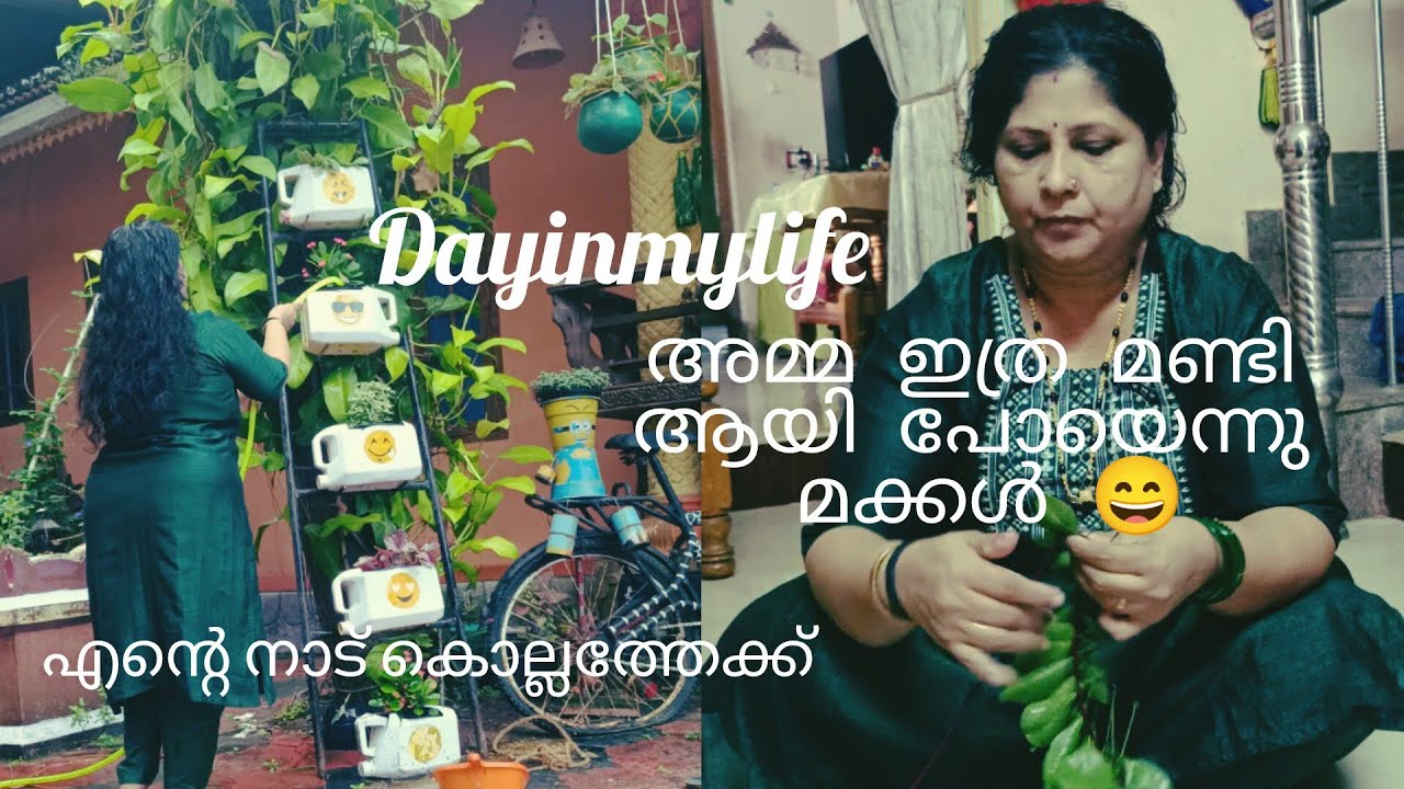 മക്കൾ ആയിട്ട് പിണങ്ങി 😥 അമ്മ മണ്ടി ആയിപോയെന്നു 😆/Dayinmylife /real village life #youtubeshorts