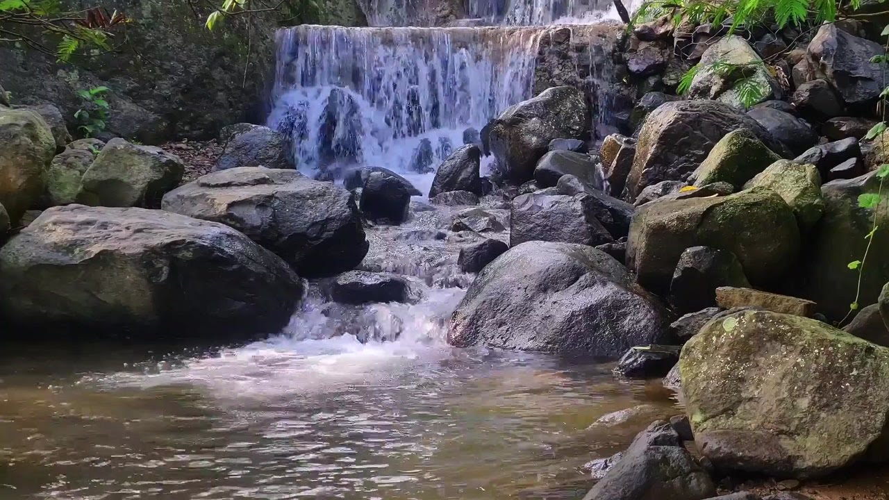 Forest River Sounds for Sleep | Calm Nature Water Flow for Deep Relaxation