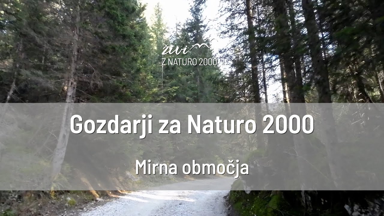 Gozdarji za Naturo 2000: Mirna območja