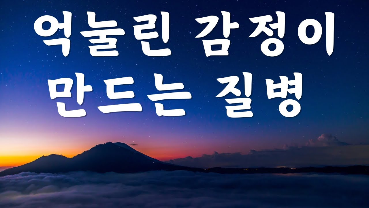 억눌린 감정이 만드는 병 / 착한 사람들만 걸린다는 병 / 아니오 라고 거절하지 못할 때 / 몸이 아니라고 말할 때 / 가보마테지음