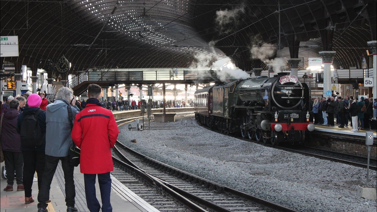 Train Horns & Tones Montage 8