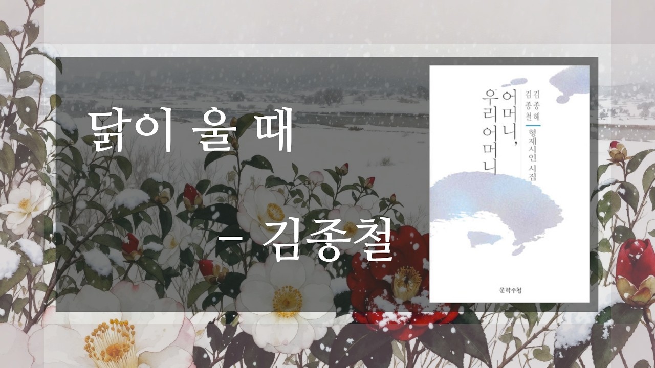 닭이 울 때 - 김종철 (낭송 강수민)