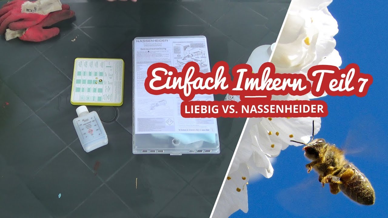 Liebig Dispenser vs. Nassenheider Prof. | Einfach Imkern Teil 7
