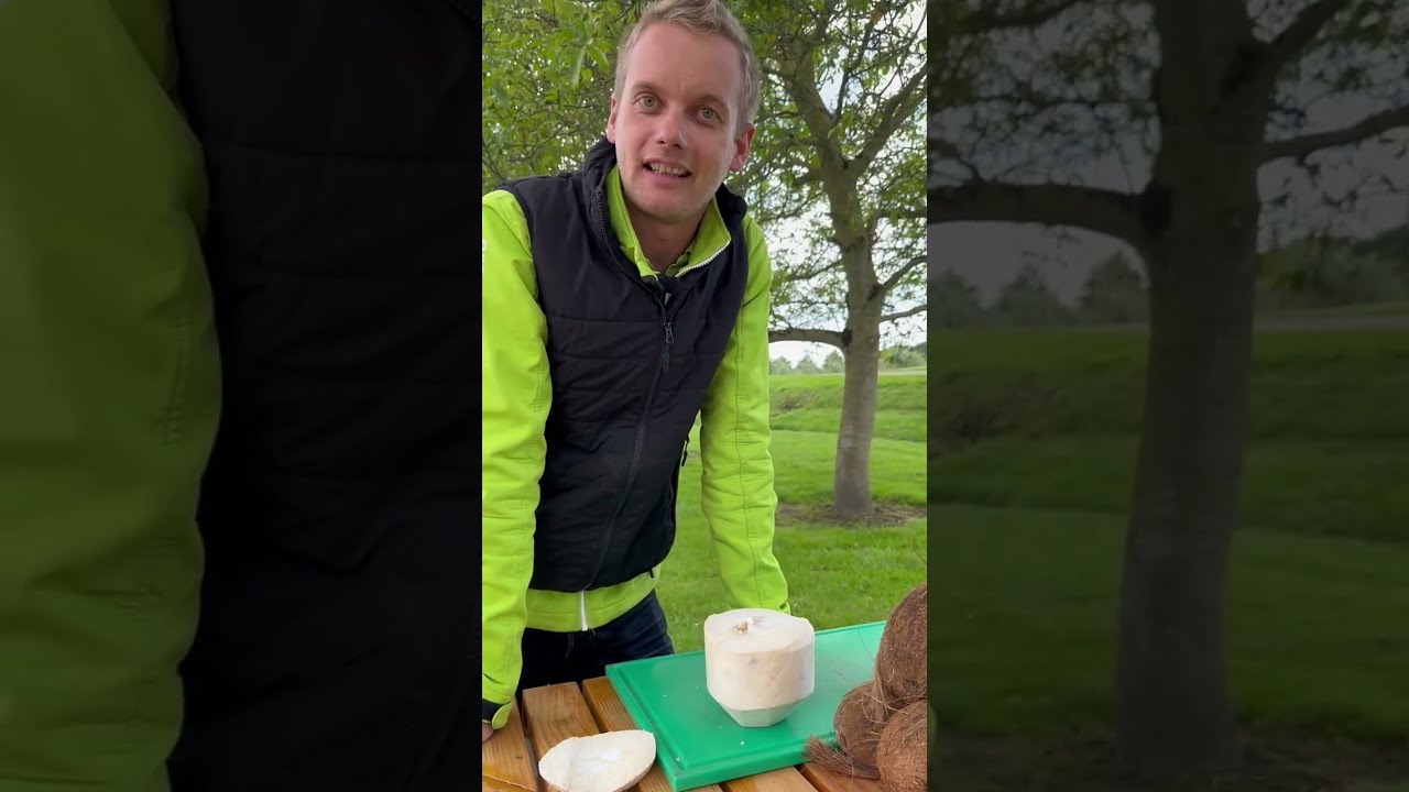 Jonge kokosnoten