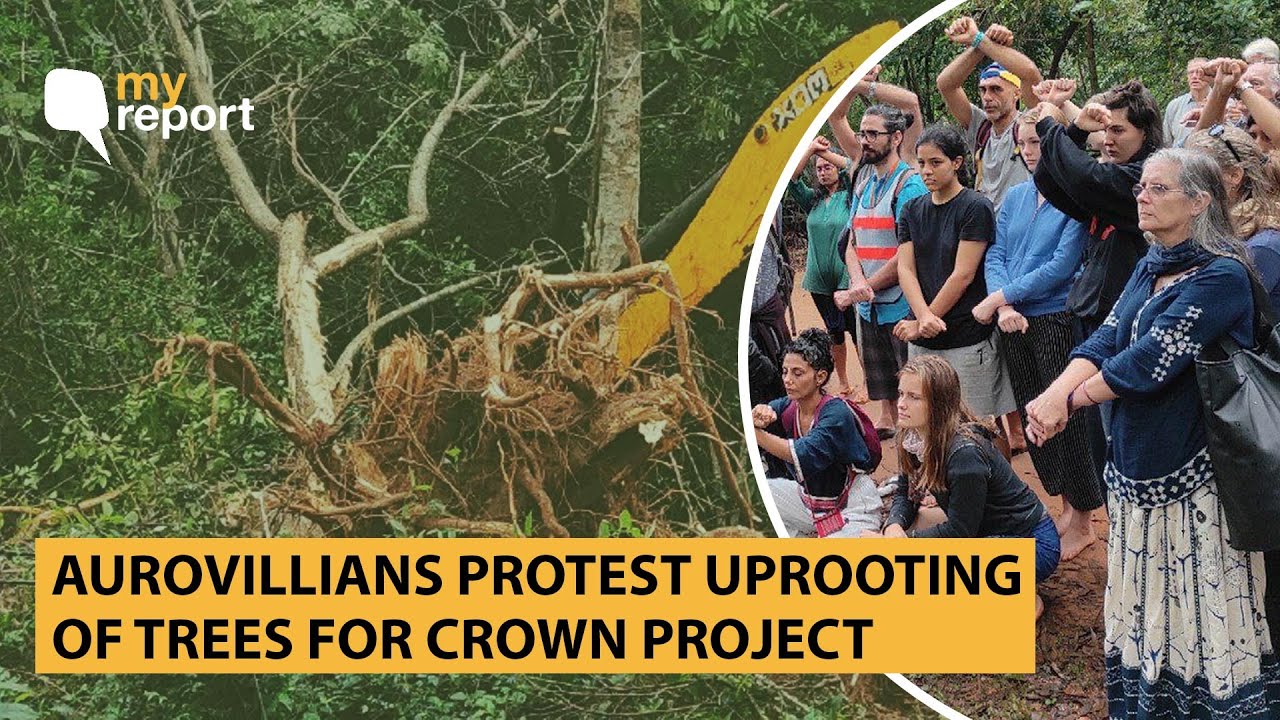 'Development In Auroville Should Not Happen At the Cost Of Ecological Balance' | The Quint
