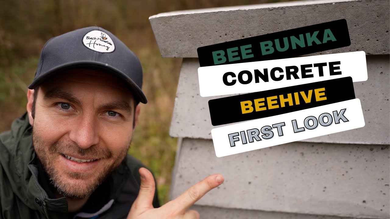 Concrete Bee Bunka Beehive - First Look