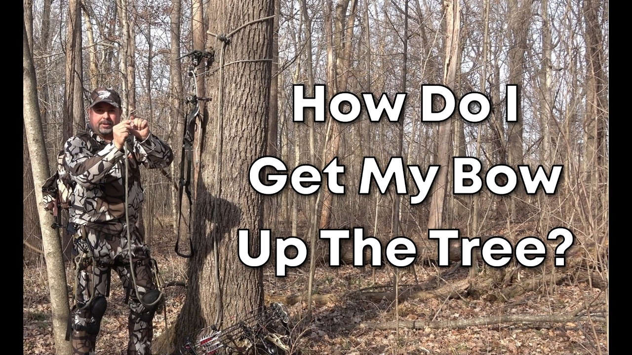How Do I Get My Bow Up The Tree?