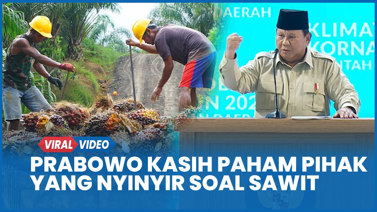 Prabowo Kasih Paham Pihak yang Nyinyir soal Sawit The Miracle Crop Kebanggaan RI