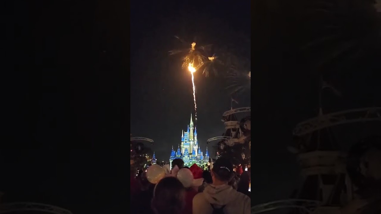 Navidad en familia, Disney world ,magic kingdom 