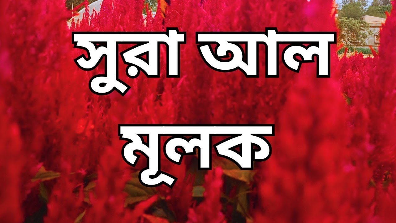 Sura al Mulk || সুরা মুলক যে ব্যক্তি প্রতি দিন রাতে পড়বে তার কবরে আযাব হবেনা #viralvideo