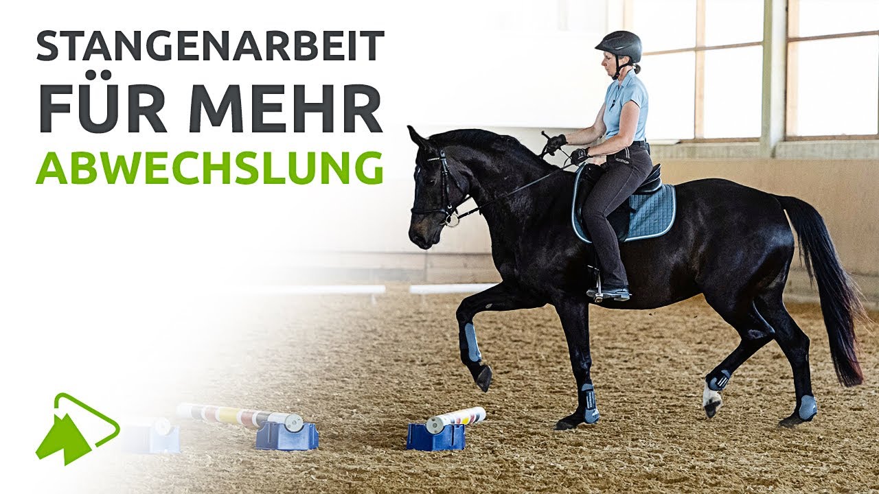 Stangenarbeit: 5 Ideen f&uuml;r die Dressurarbeit mit Claudia Butry | wehorse