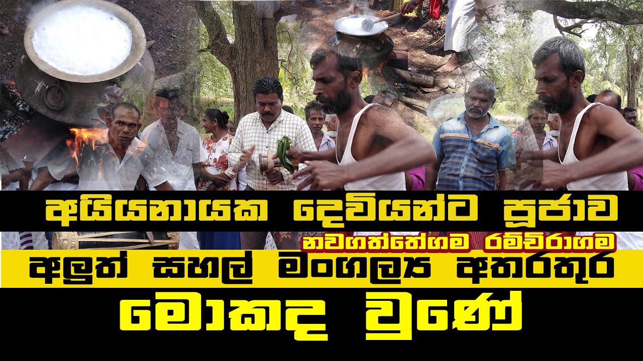 Sinhalanews.lk-අයියනායක දේව කවි කියනකොට මෙකද වුණේ-අලුත් සහල් මංගල්‍යය-රච්චිරාගම දේවාලයේ news Gossip