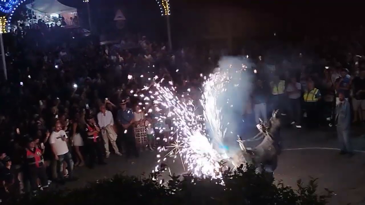 'U Ballu ru sceccu' (il ballo dell'asino) in occasione della festa di SS Maria del Carmine Musalà 