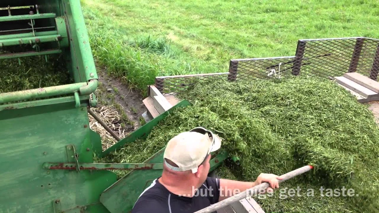 Making Silage