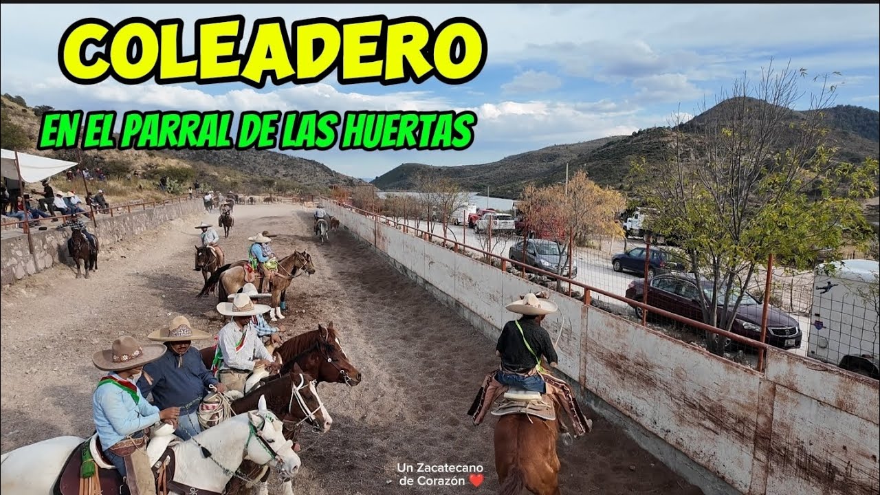 Coleadas en