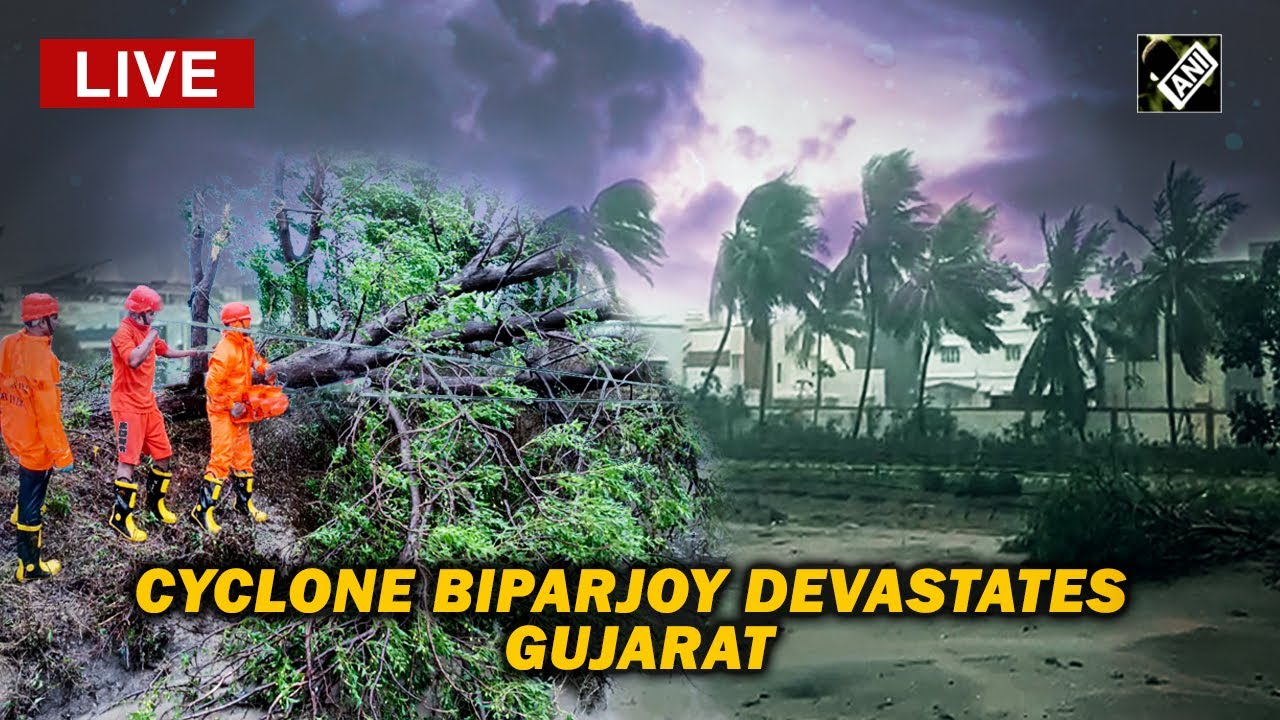 Cyclone Biparjoy live updates: Bridge collapses, trees uprooted, houses damaged in Gujarat