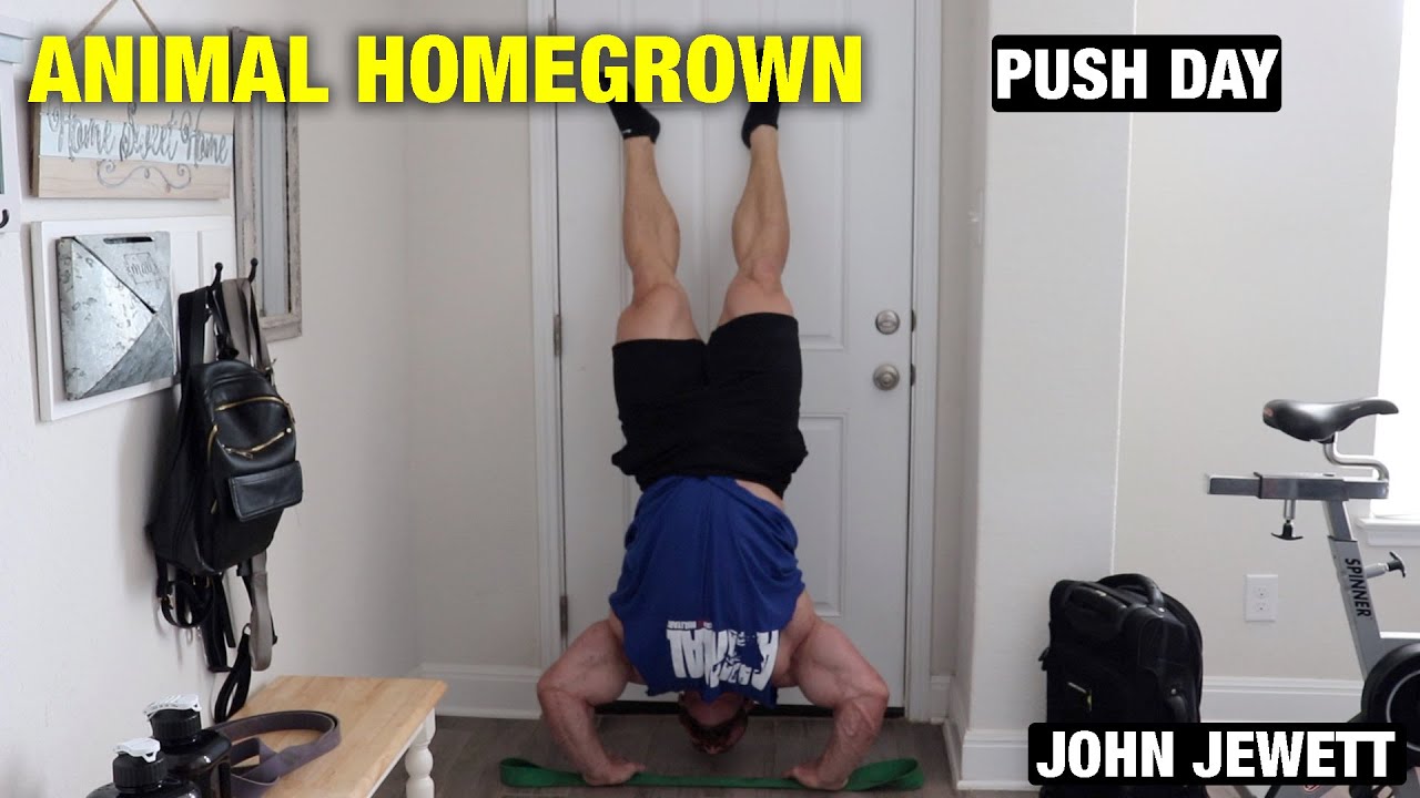 Day 2, Push Day | Animal Homegrown with John Jewett