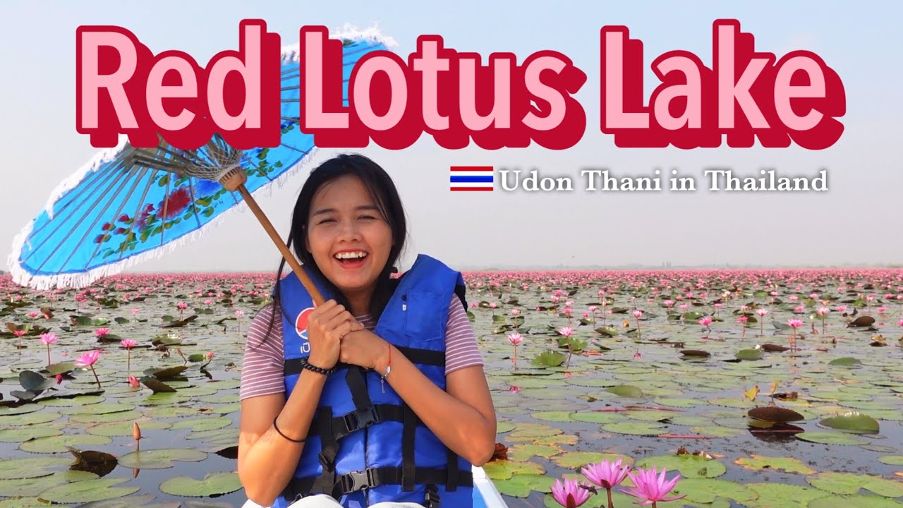 Red Lotus Lake in Thailand : the magical lake with millions of lotus flowers
