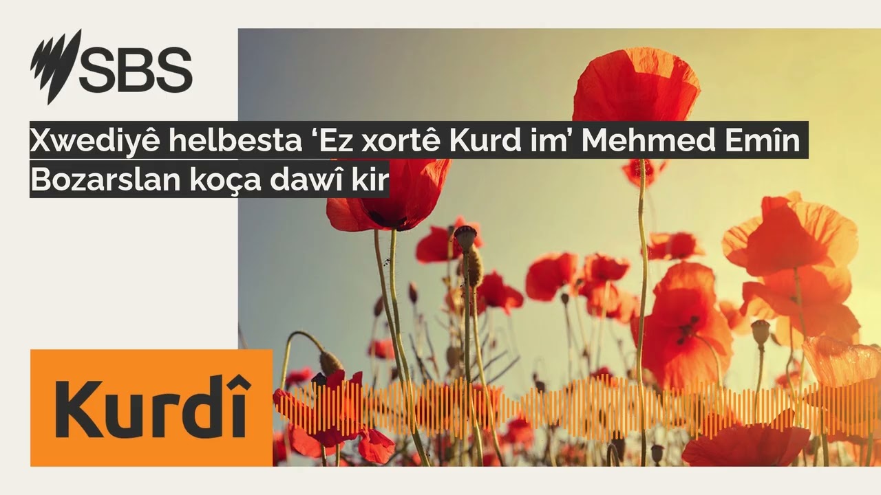 Xwediyê helbesta ‘Ez xortê Kurd im’ Mehmed Emîn Bozarslan koça dawî kir | SBS Kurdish - SBS Kurdî