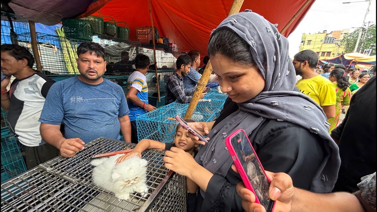 Galiff Street Pet Market Live Video 2025 Kolkata Latest Update | Dog Puppy Price Update