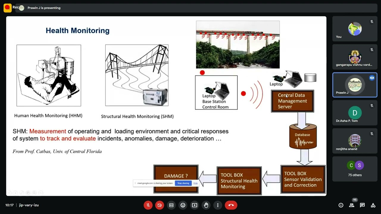 Vibration Based Structural Health Monitoring of Bridges