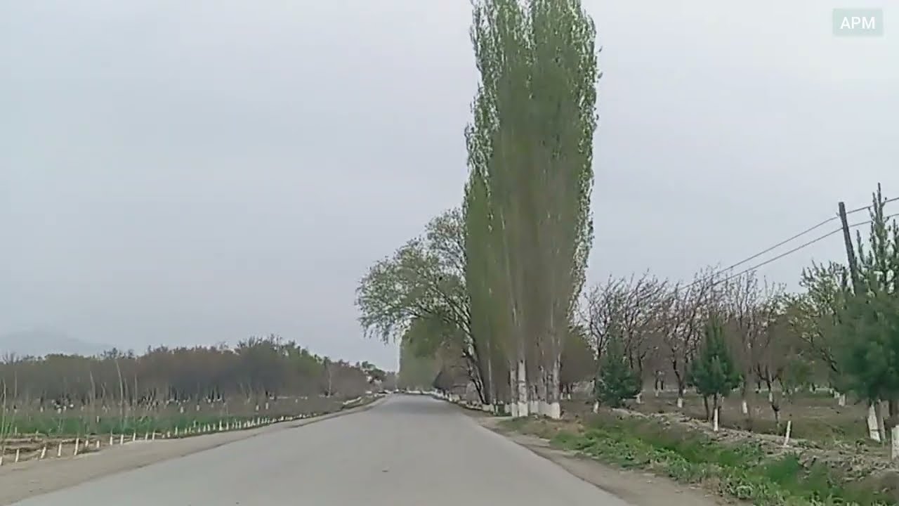 Исфара чуи Боло Устомулло