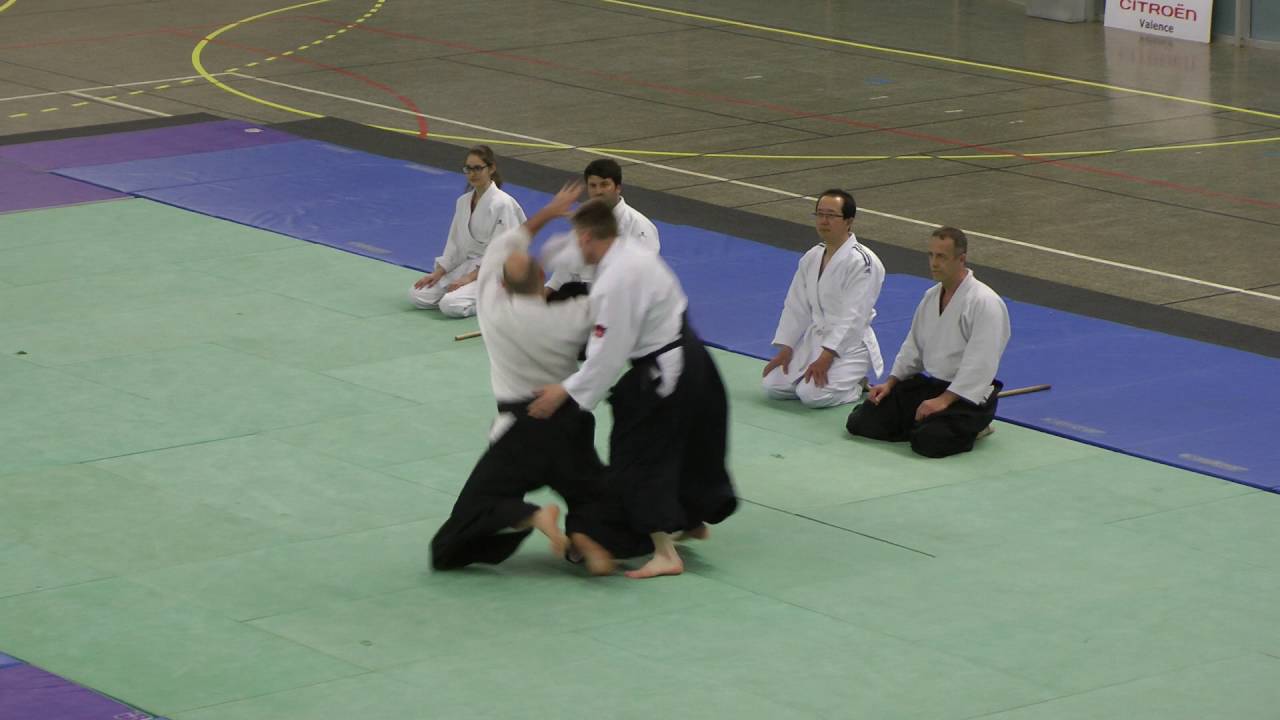 A&iuml;kido (Tenshinkan Bourg-l&egrave;s-Valence et A&iuml;kika&iuml; Valence) (BLV 2016)