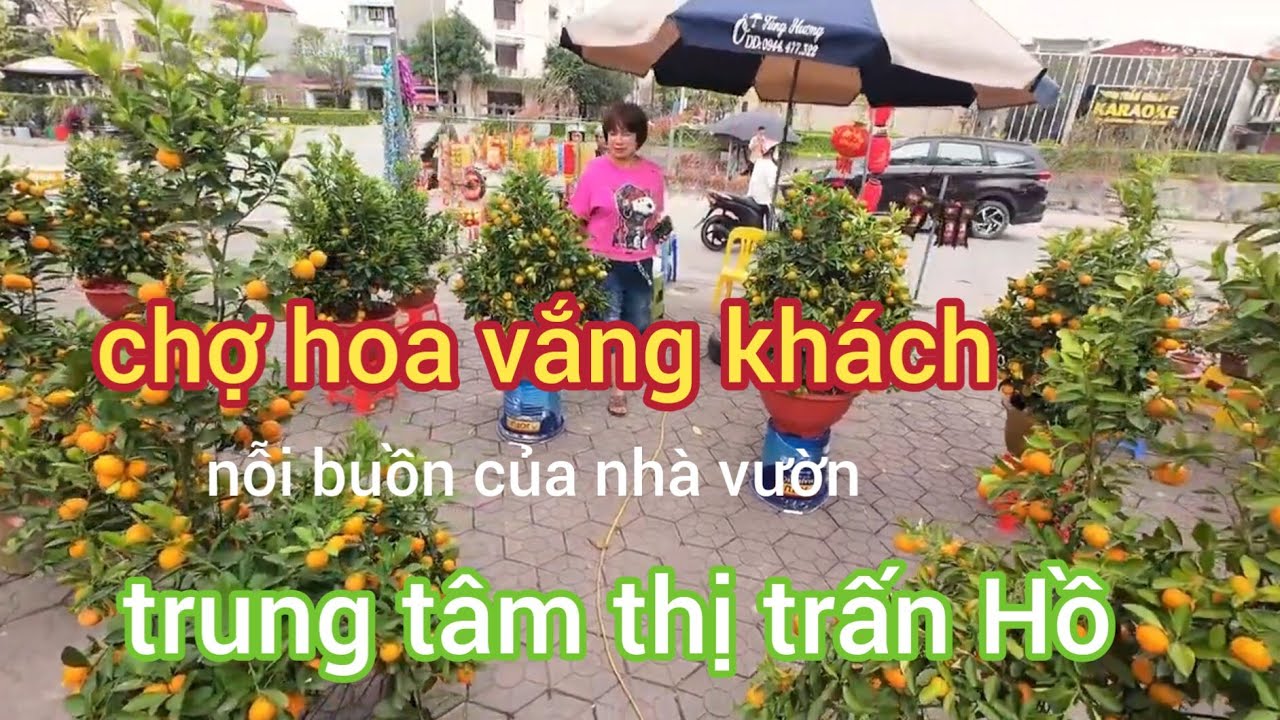 nỗi buồn nhà vườn , chợ hoa ngày 28 tết vắng khách @Đâu cũng có mặt,