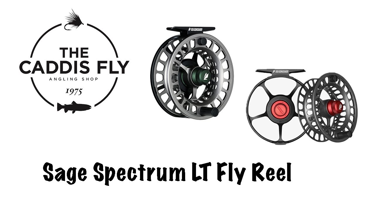 Introducing the Sage Spectrum LT Reel with George Cook