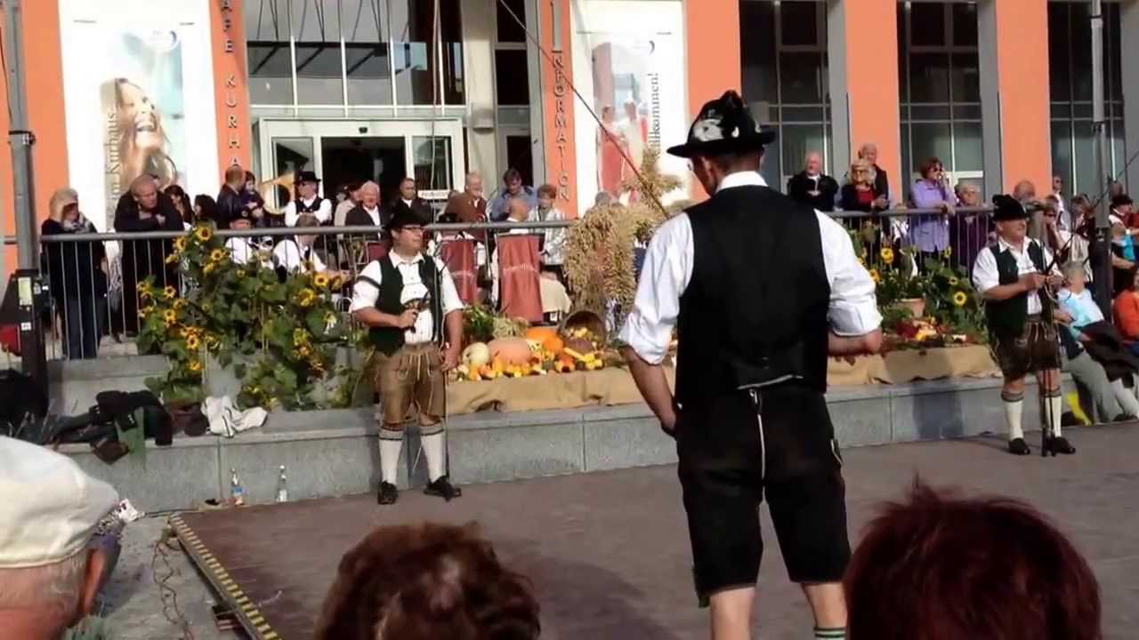 Goaslschnalzer