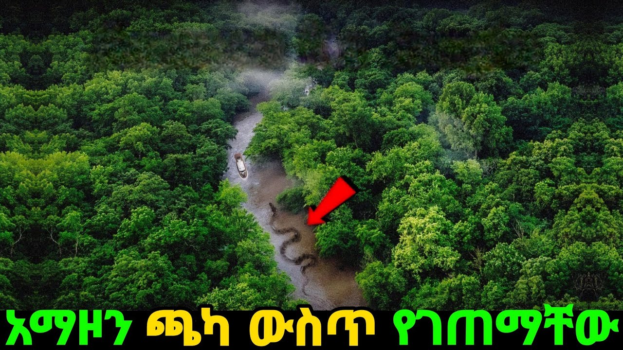 አደገኛው የአማዞን ጫካ ውስጥ ገብተው የጠፉት 3ቱ ጓደኛሞች