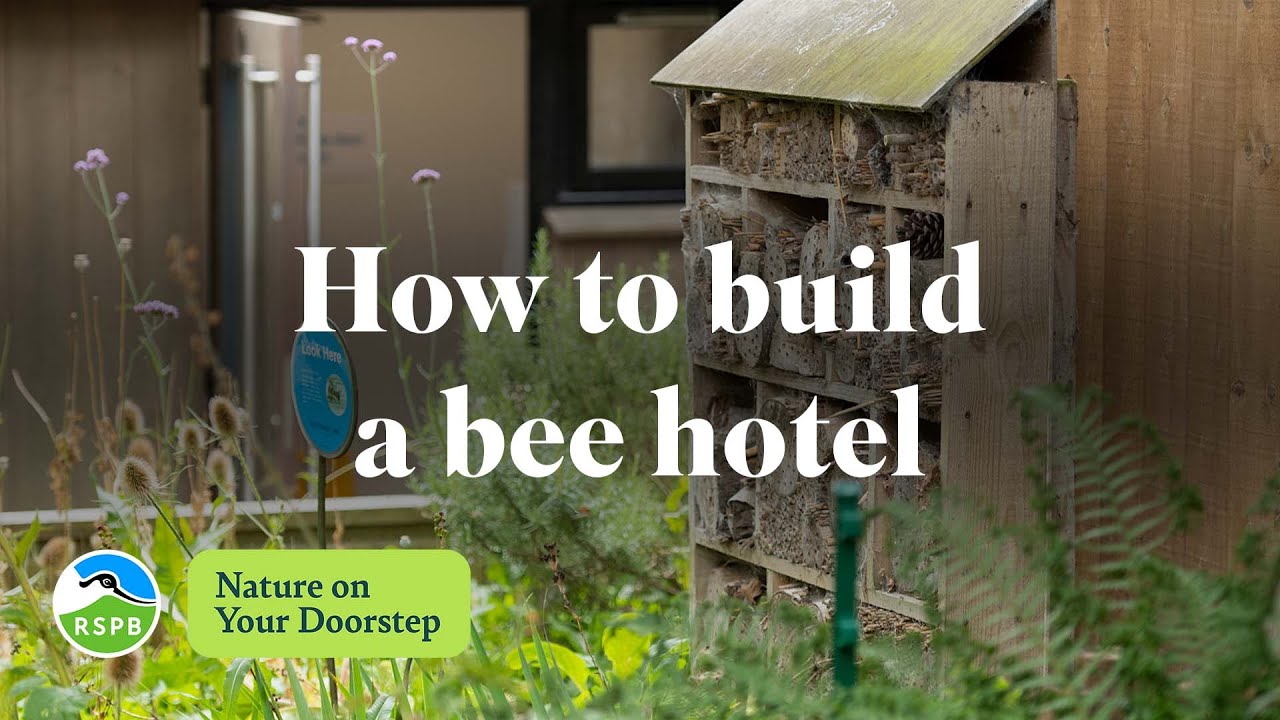 How to build a bee hotel | RSPB Nature on Your Doorstep