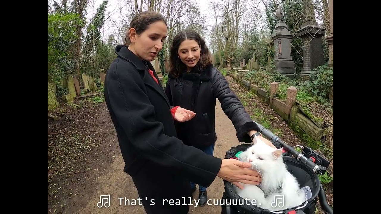 В Хакни собралась замечательная компания людей. 🐱
