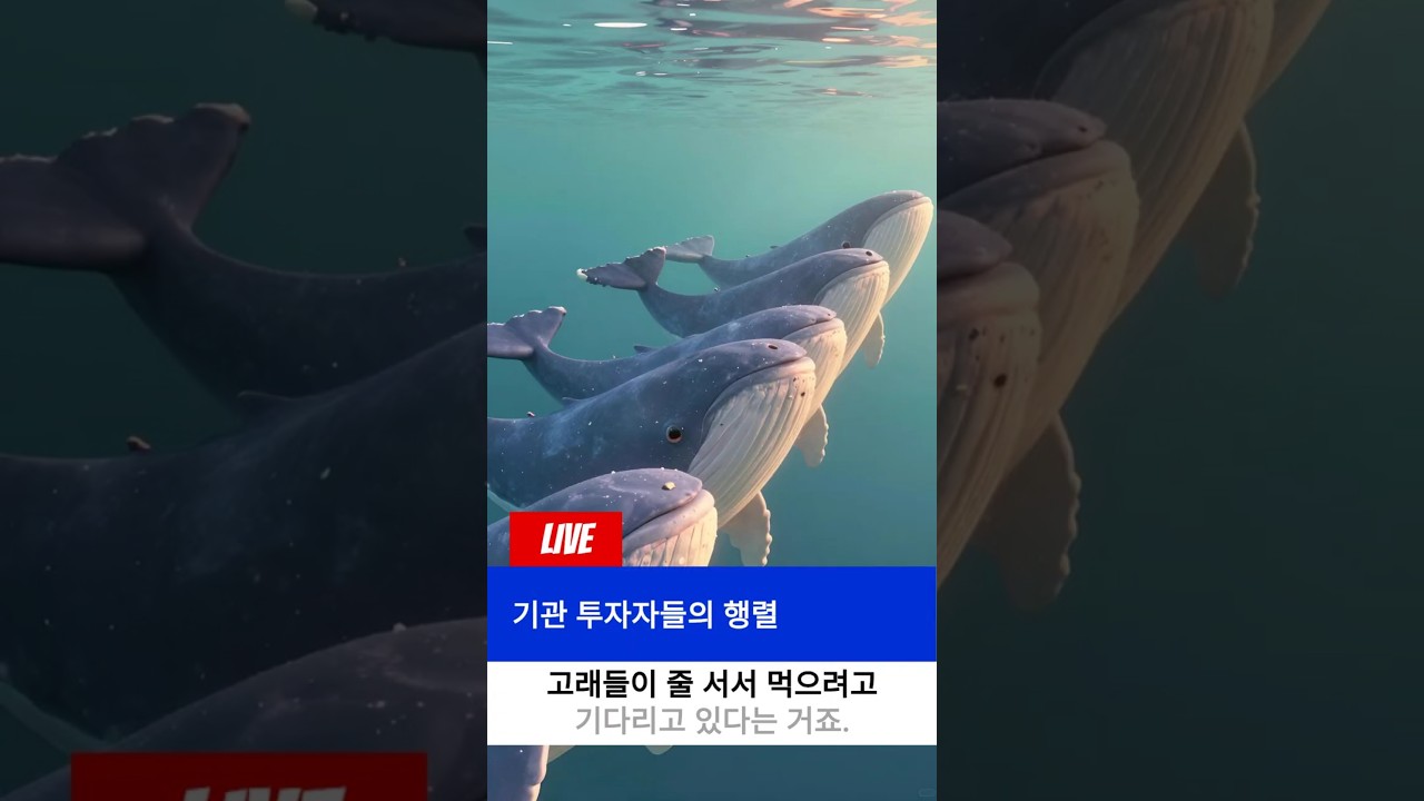 ​[암젠(AMGN)] 실적은 '미쳤다'는데 시장은 왜 겁을 먹을까? 소름 돋는 '간극'의 비밀