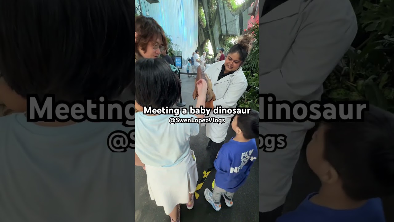 Cute baby dinosaur at the #cloudforest #singapore #swenlopezvlogs