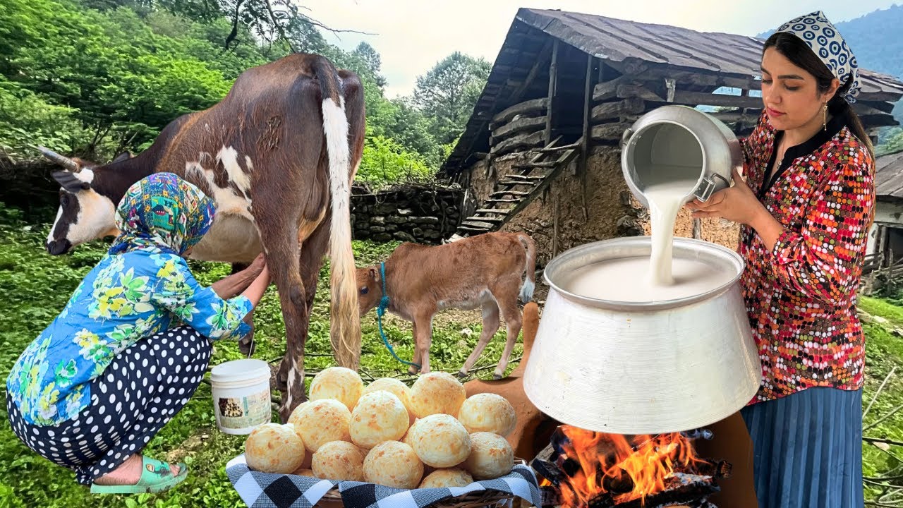 IRAN Nomadic Lifestyle : Milking Cows , Making Local Cheese & Baking Delicious Bread in Clay Oven