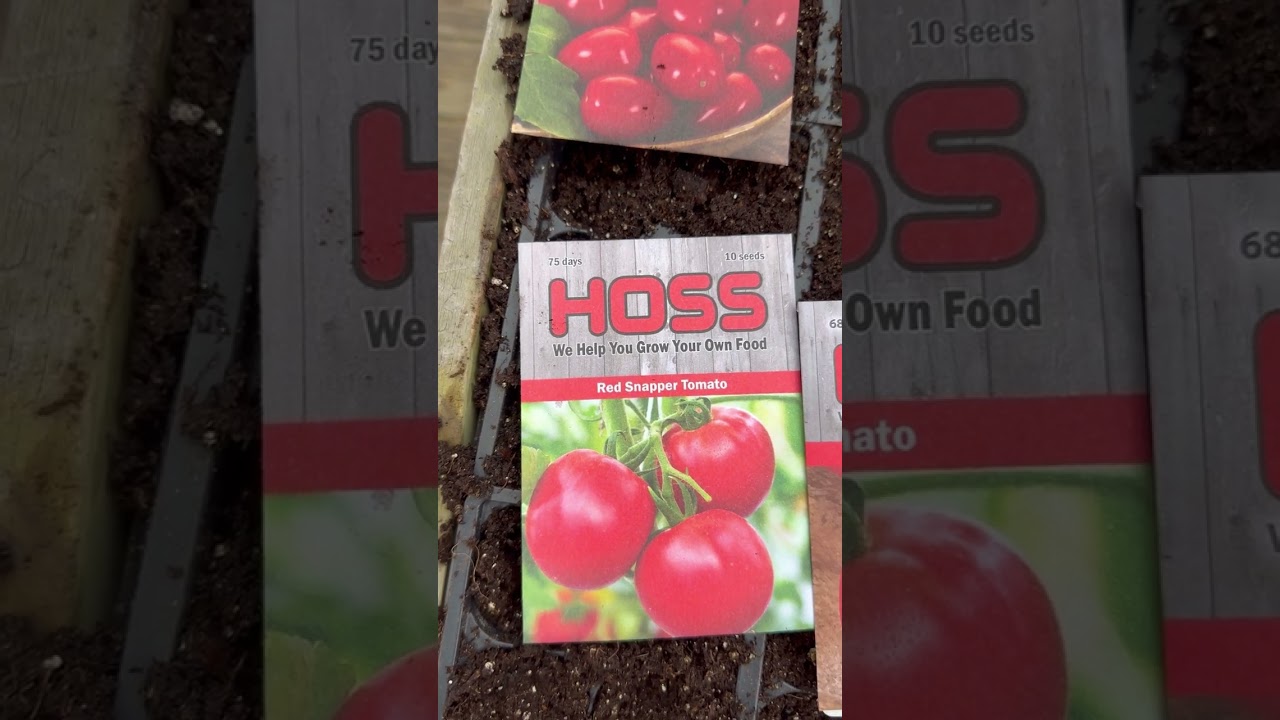Tomato Time! Let's start some tomato seeds! #gardening #garden #farmlife #farmfresh #growyourown