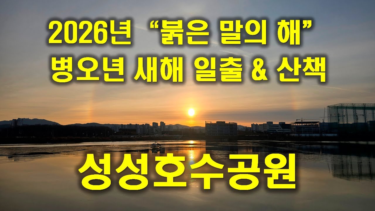 2026 병오년 