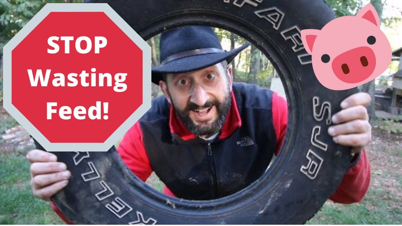 How to Build a Low Waste Pig Feeder - Stop Wasting Feed!