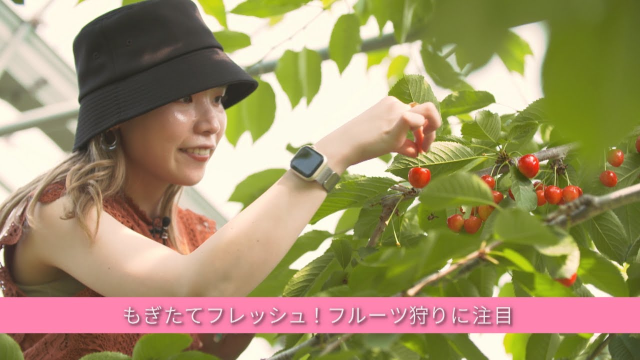 この夏体験したい！フルーツ狩りで旬のもぎたてフルーツを味わう【札幌】