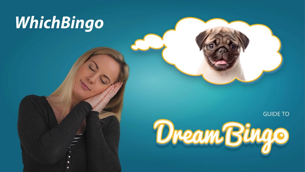 Dream Bingo guide