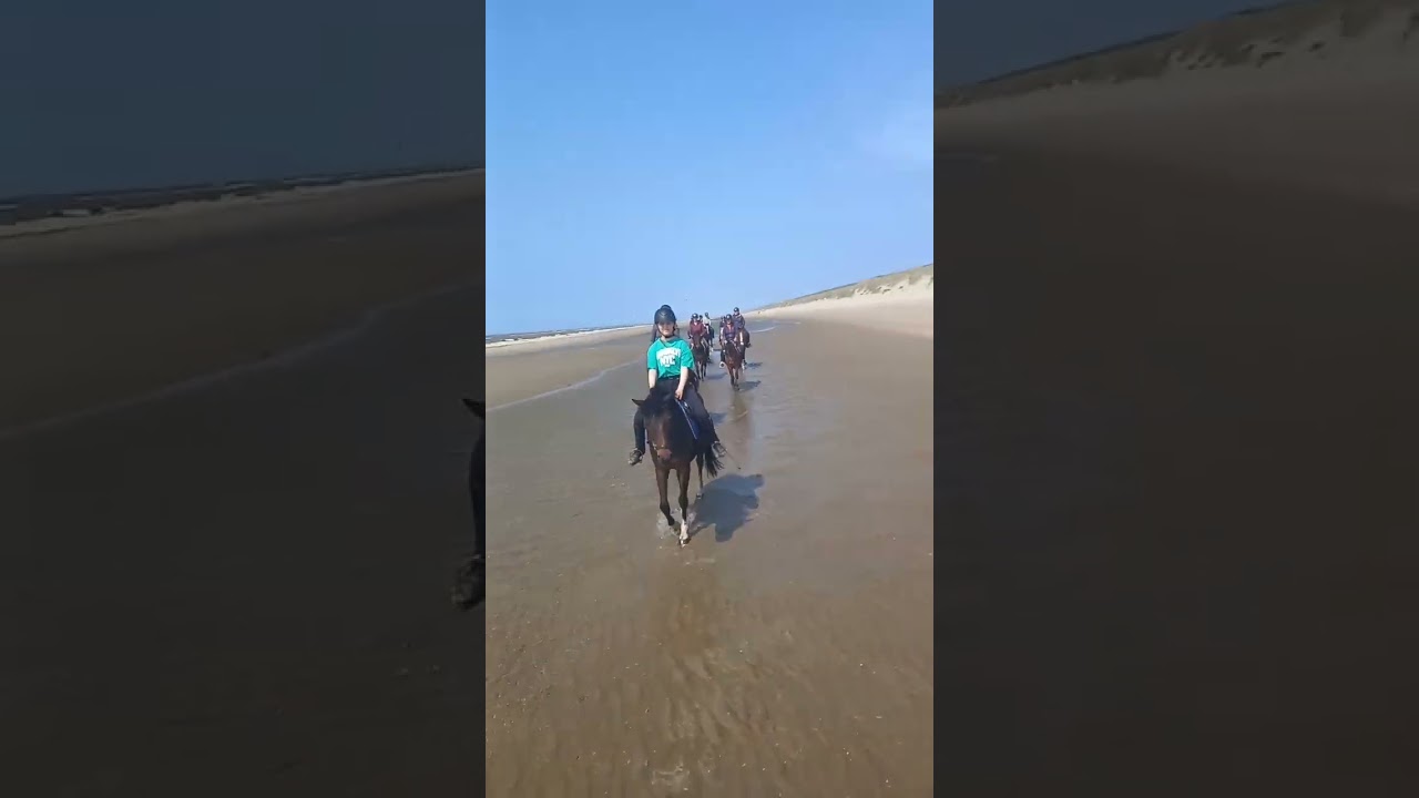 Beach ride with Julia and Crack