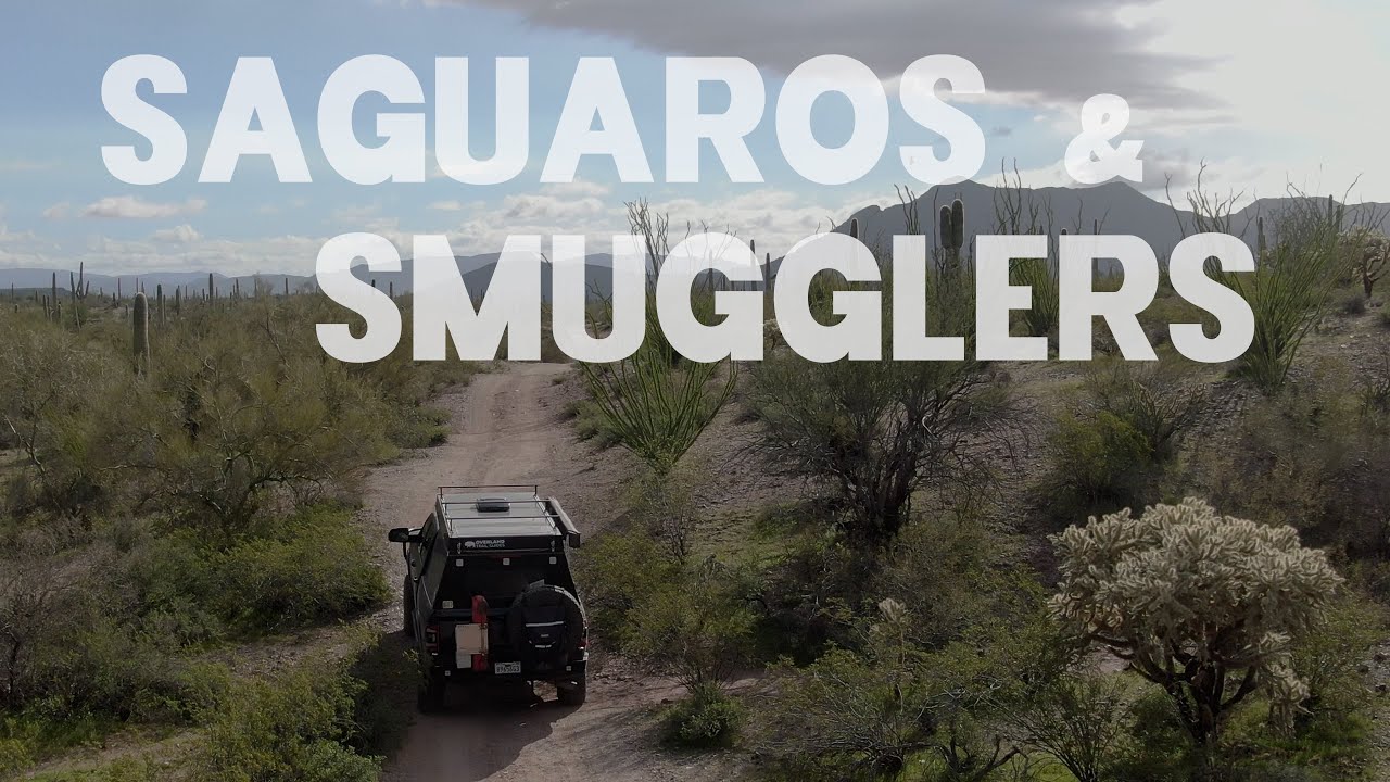 Land of Saguaros and Smugglers: Exploring Organ Pipe NM
