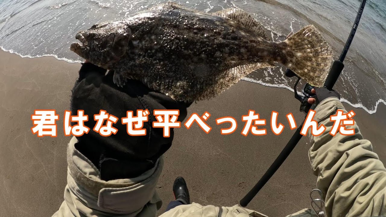 【ヒラメ釣り】PGってどうなの？