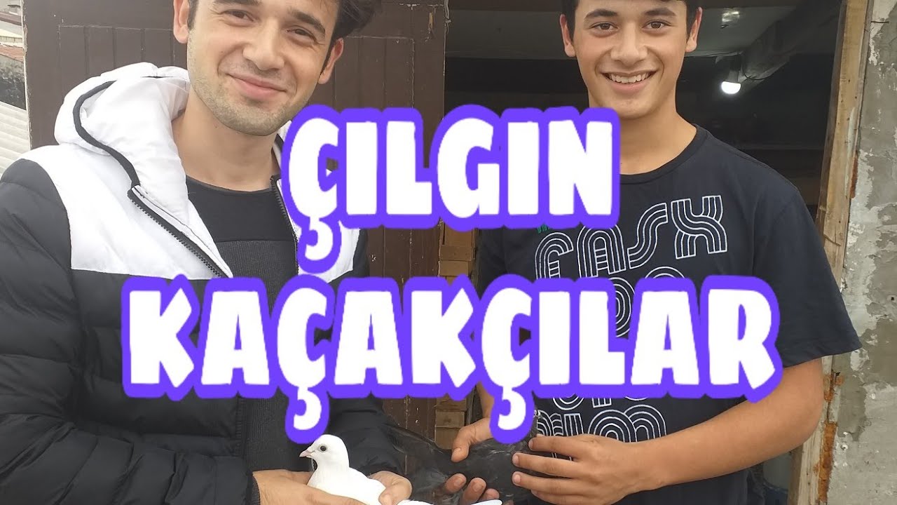 ÇILGIN KAÇAKÇI KARDEŞLER İŞ BAŞINDA😈